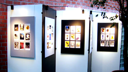 Tentoonstellingen